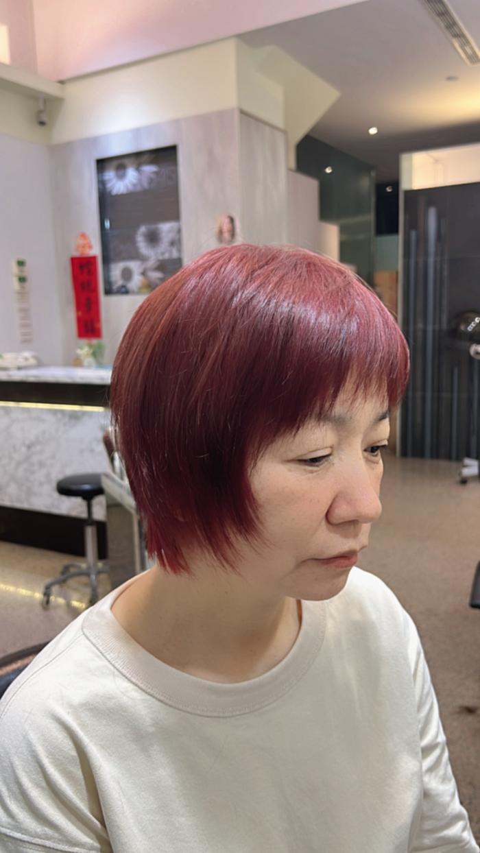 秋冬COLOR#夢幻的暖調粉紫#紅 #ELECTA 植萃染