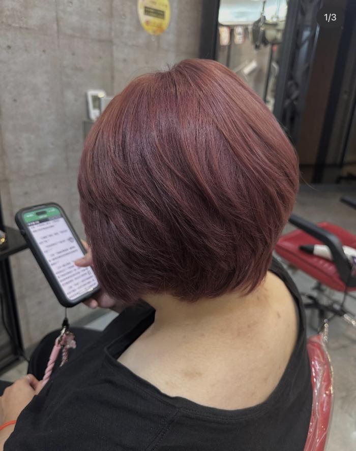 短髮/需漂/霧梅染