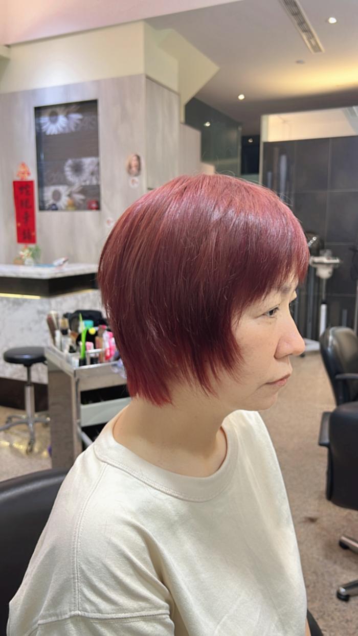 秋冬COLOR#夢幻的暖調粉紫#紅 #ELECTA 植萃染