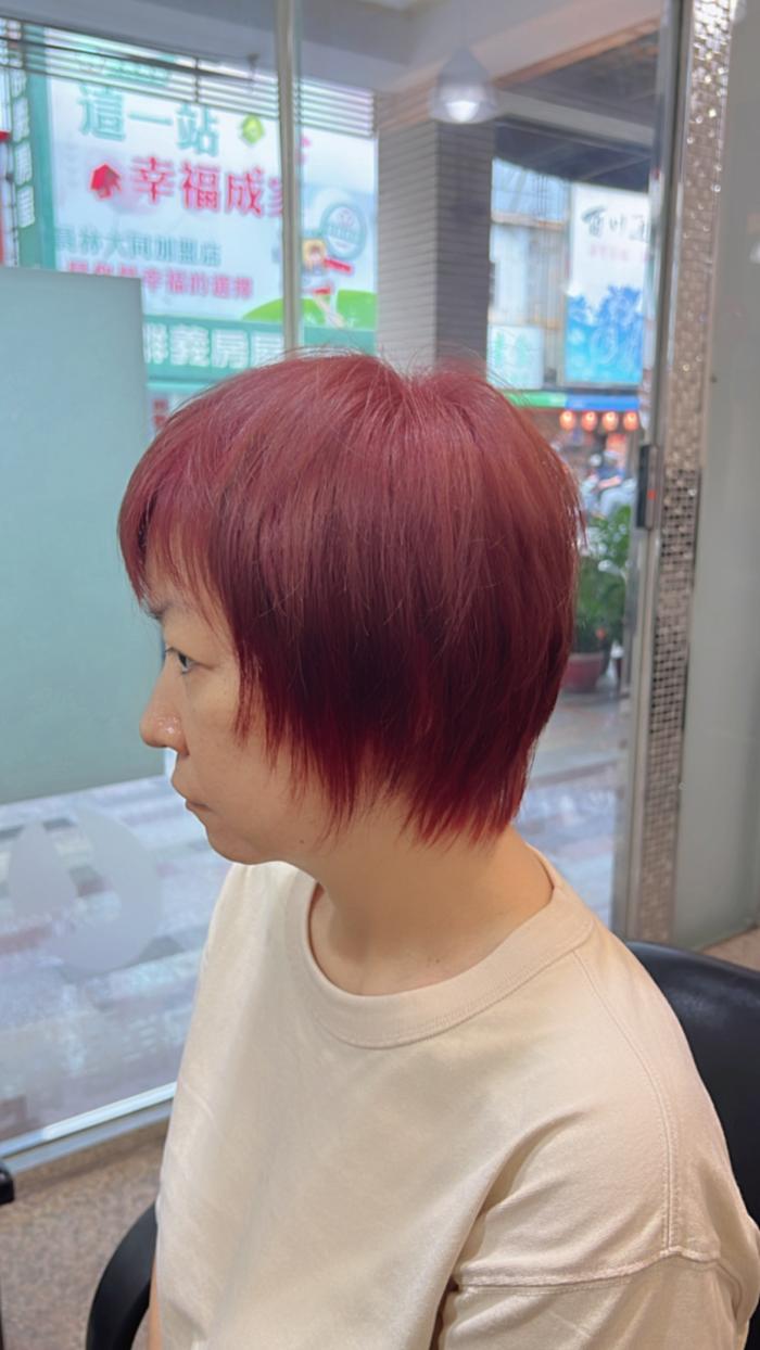 秋冬COLOR#夢幻的暖調粉紫#紅 #ELECTA 植萃染